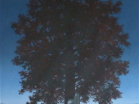 Sala Rene Magritte - La voix du sang - Litografia - 78 x 58 cms - 1959